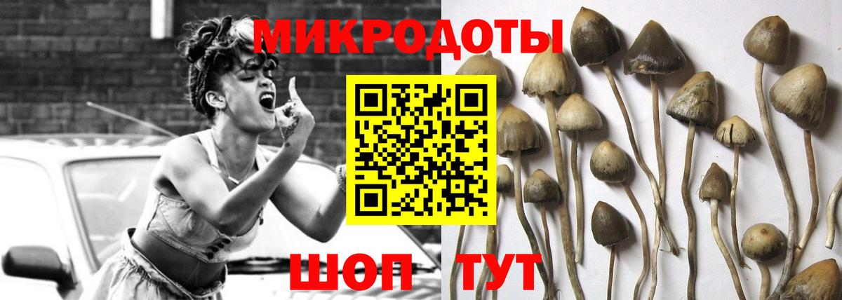 Магнитогорск  Галлюциногенные грибы прущие грибы  Вход с VPN 